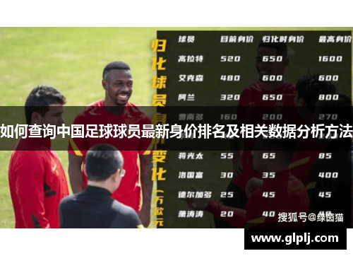 如何查询中国足球球员最新身价排名及相关数据分析方法